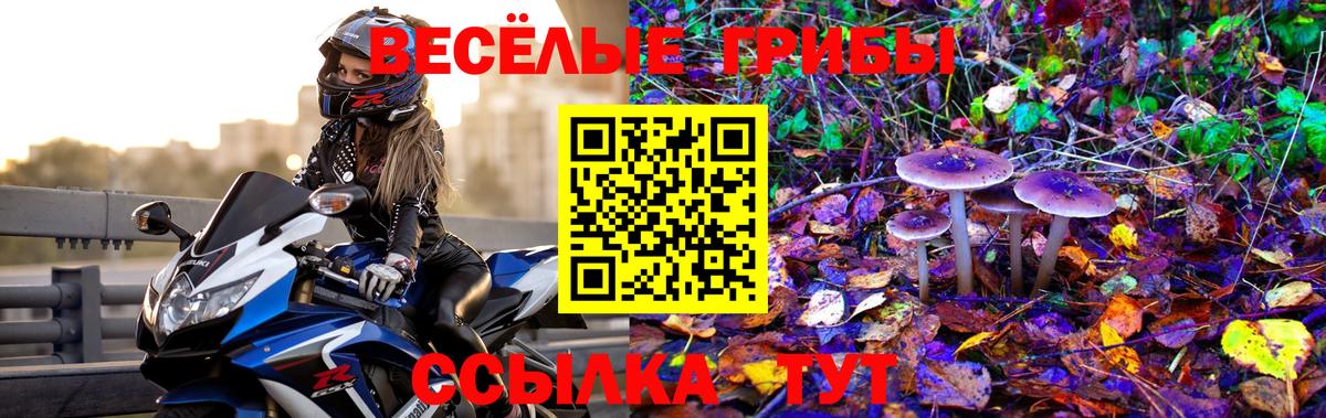 Тихорецк  Псилоцибиновые грибы Magic Shrooms  Вход с VPN 